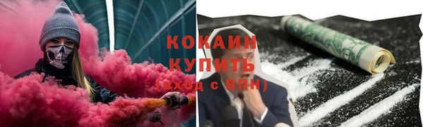 стаф Вязники