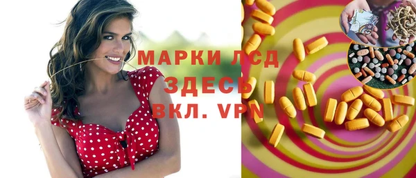 стаф Вязники