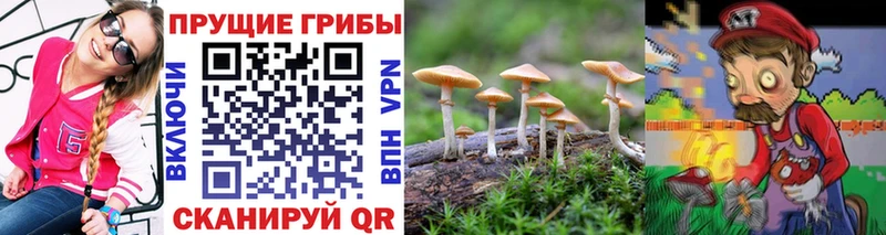 Галлюциногенные грибы Magic Shrooms Игарка